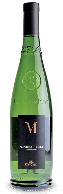 Gamme M AOP Picpoul, les vins de cépages des vignerons de Montagnac Domitienne