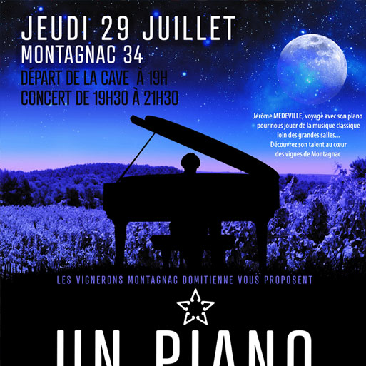 Un piano dans les vignes