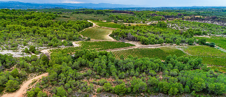 La coopérative des vignerons Montagnac Domitienne, c’est d’abord une histoire d’hommes et de femmes et une belle aventure humaine.