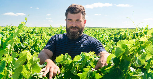 Les vignerons Montagnac Domitienne sont le partenaire historique des négociants régionaux ou nationaux ou d’entreprises actives à l’export