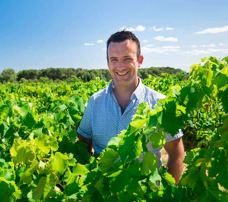 Les vignerons Montagnac Domitienne s'engagent aujourd’hui dans une démarche RSE