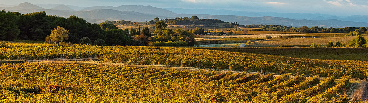 Le terroir des vignerons Montagnac Domitienne