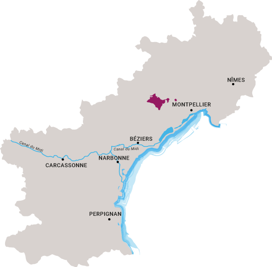 Carte Languedoc-Montpeyroux