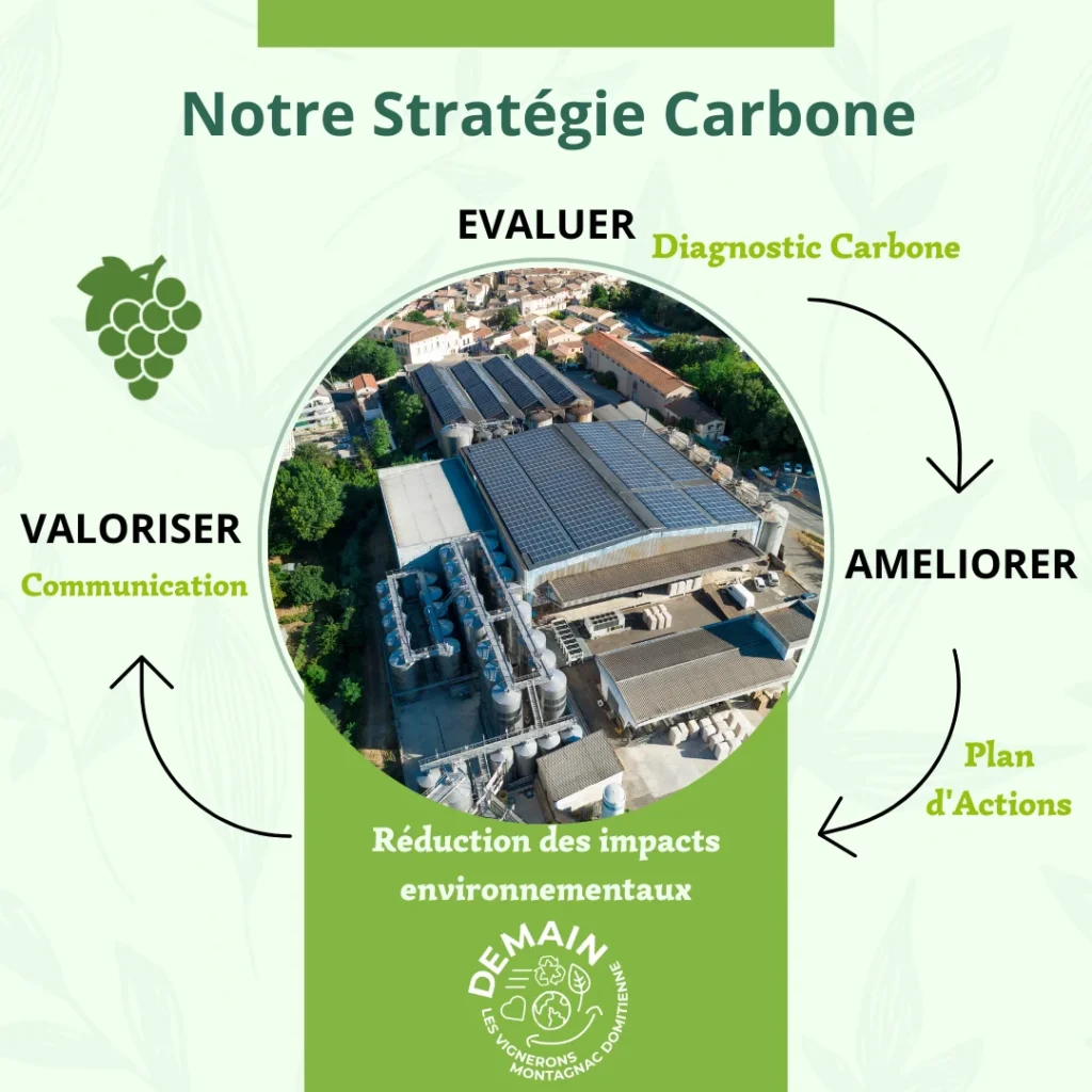 Le diagnostic carbone des Vignerons Montagnac Domitienne