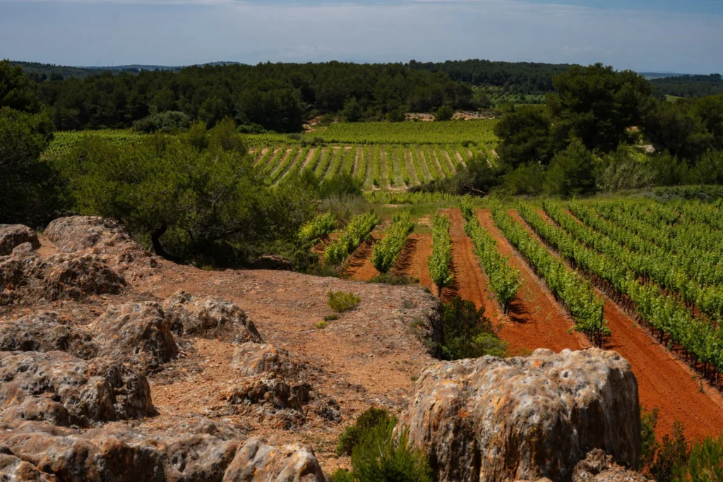 Terres rouge : découvrez la Cave Coopérative Les Vignerons Montagnac Domitienne