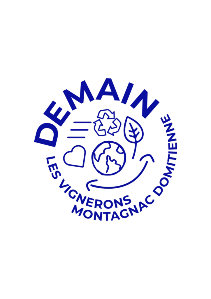 Logo Demain RSE