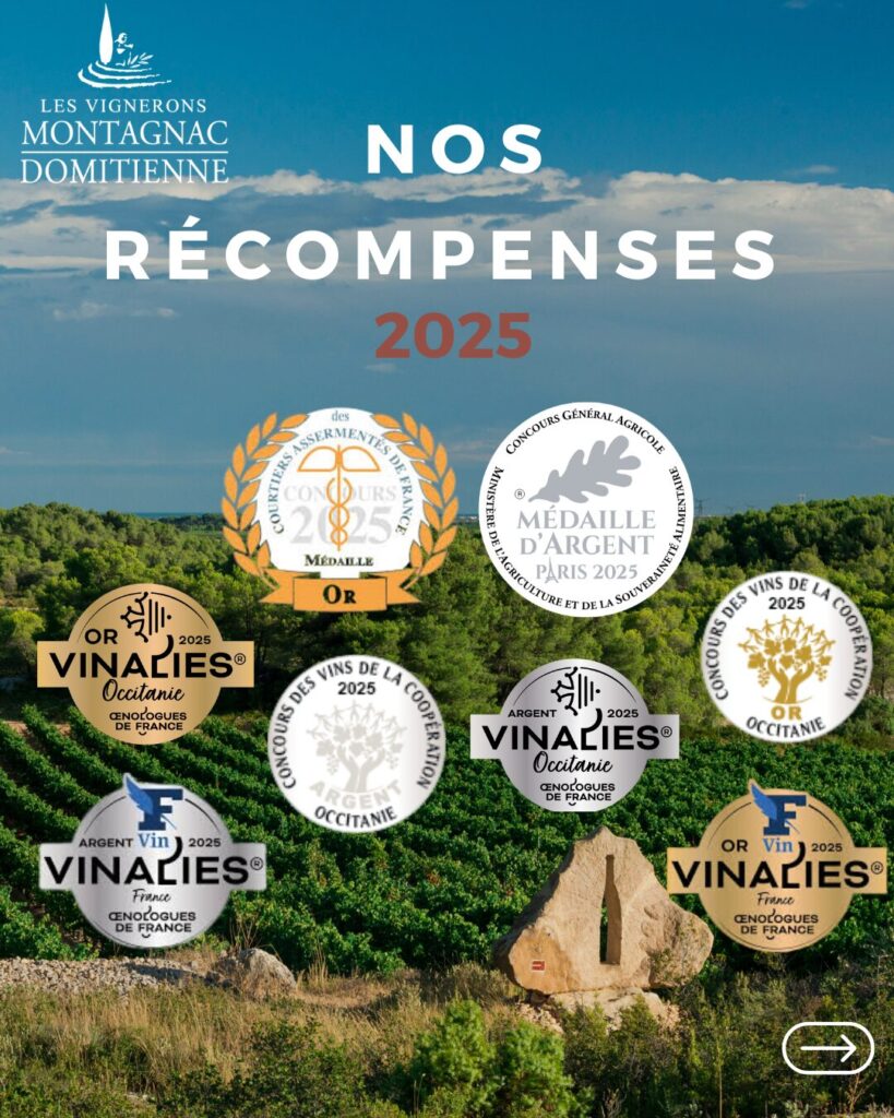 Nos vins récompensés en 2024 dans plusieurs concours viticoles
