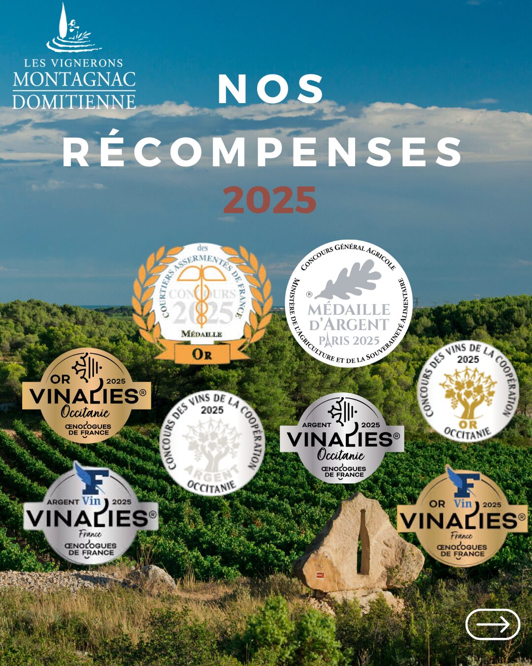 Nos vins récompensés en 2024 dans plusieurs concours viticoles